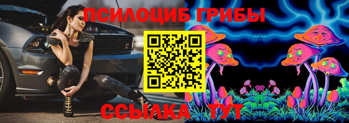 Псилоцибиновые грибы Psilocybe  Вход с VPN  Псилоцибиновые грибы Psilocybe  Новоалтайск 